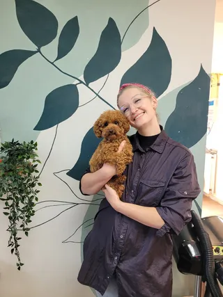 Stagiair Delila houdt Milo, een toypoedel, in haar armen